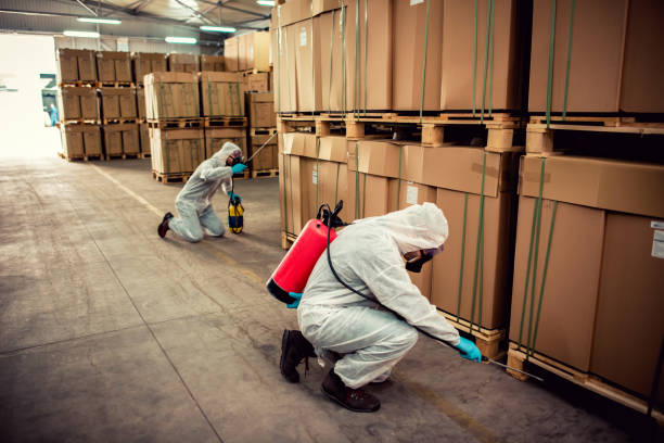 Best Termite Control Services  in Frederick, OK