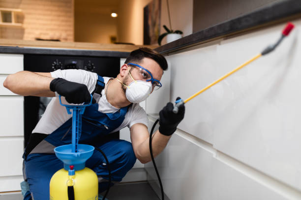 Best Flea Control Services  in Frederick, OK
