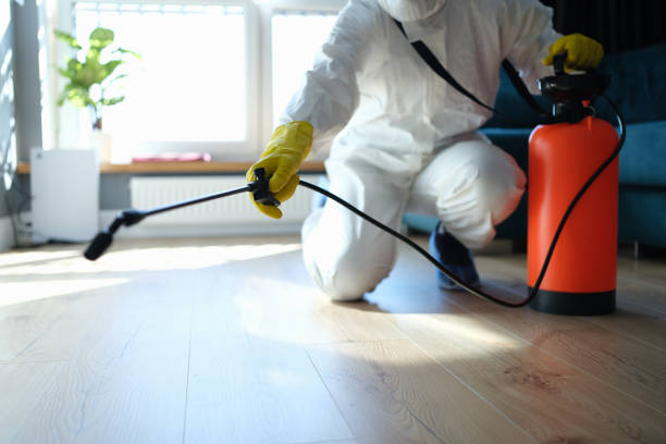 Reliable Frederick, OK Pest Control Solutions