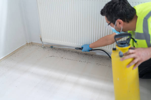 Best Local Pest Control Services  in Frederick, OK