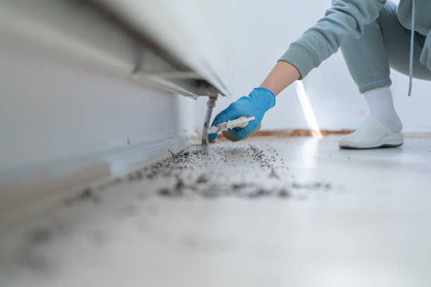 Best Rat Extermination Near Me  in Frederick, OK