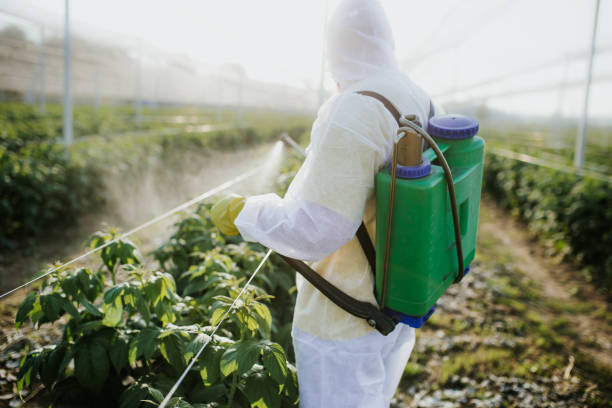Best Termite Control Services  in Frederick, OK